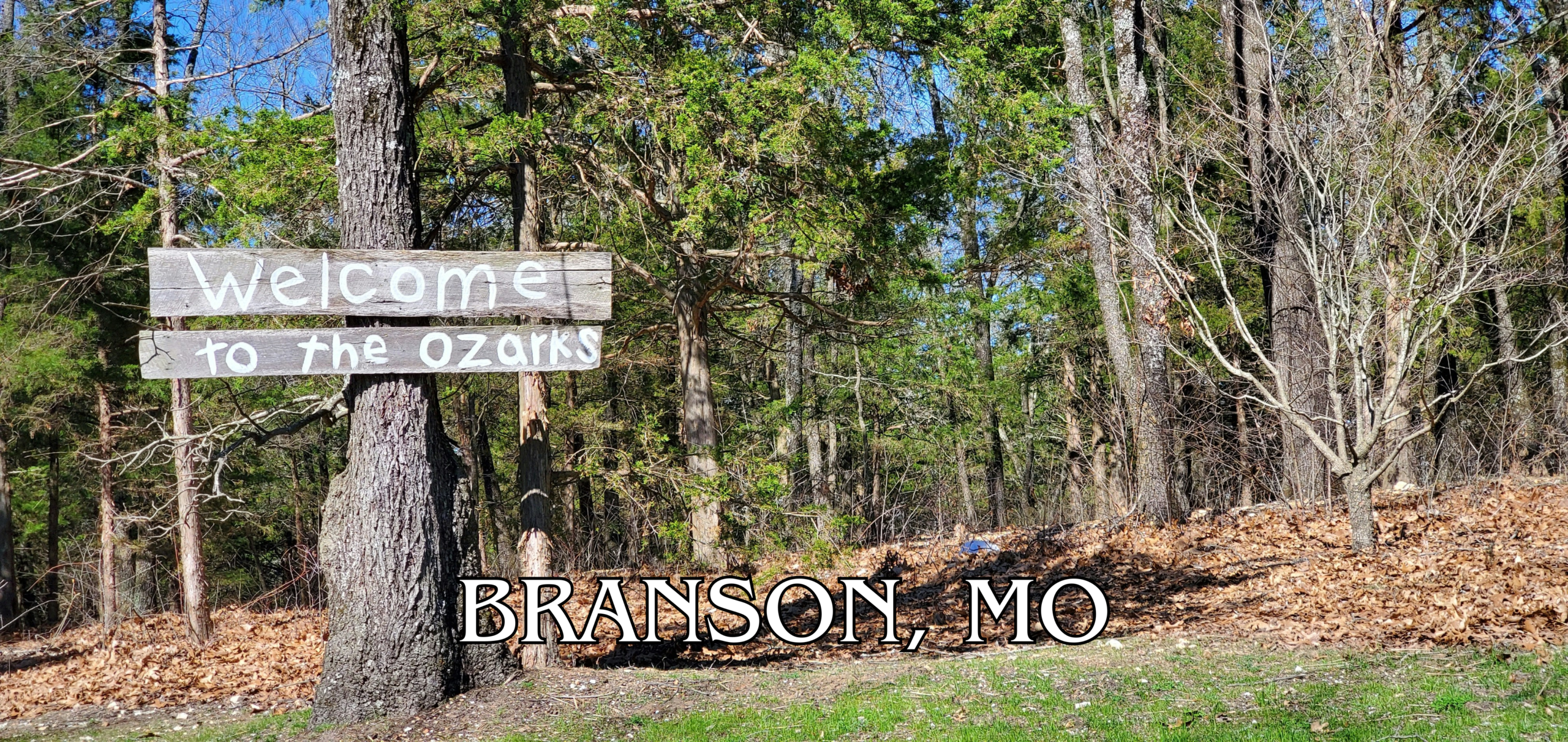 Branson-MO.webp